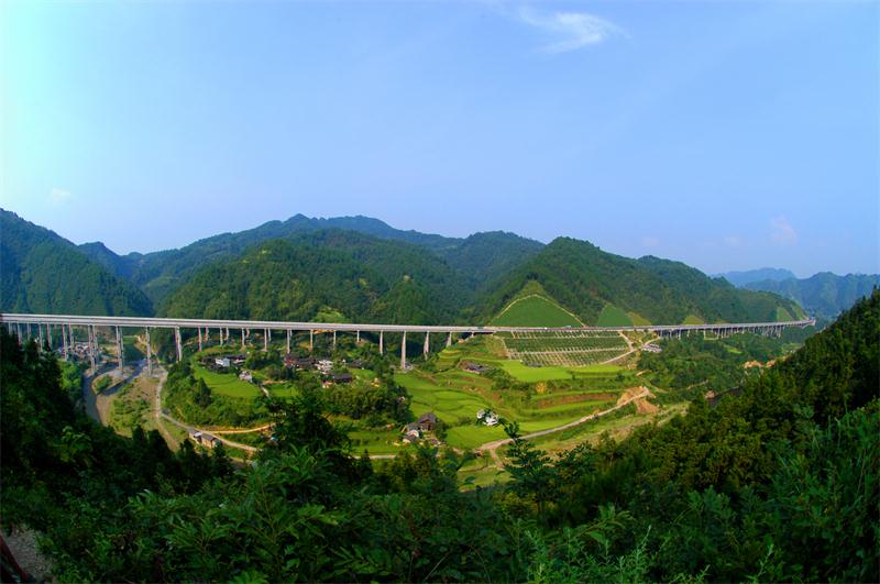 PG电子·(中国)官方网站