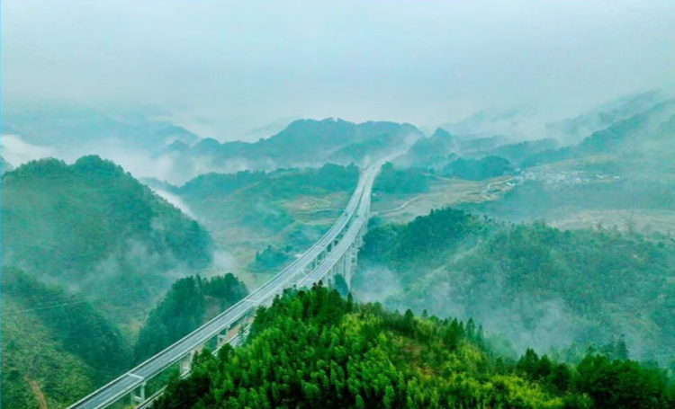3f30bf76-781a-48c7-862d-18175f0a6f4f.png