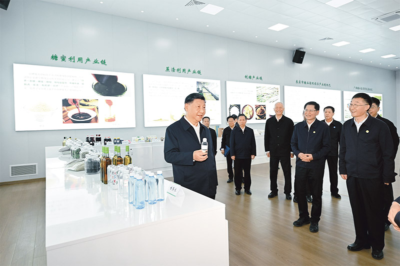 PG电子·(中国)官方网站